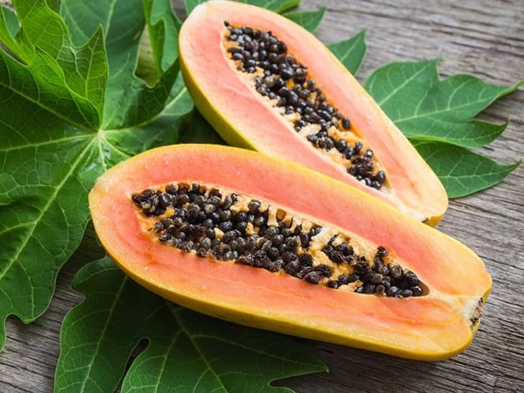 The nutritional content and health benefits of papaya Lương Gia Food