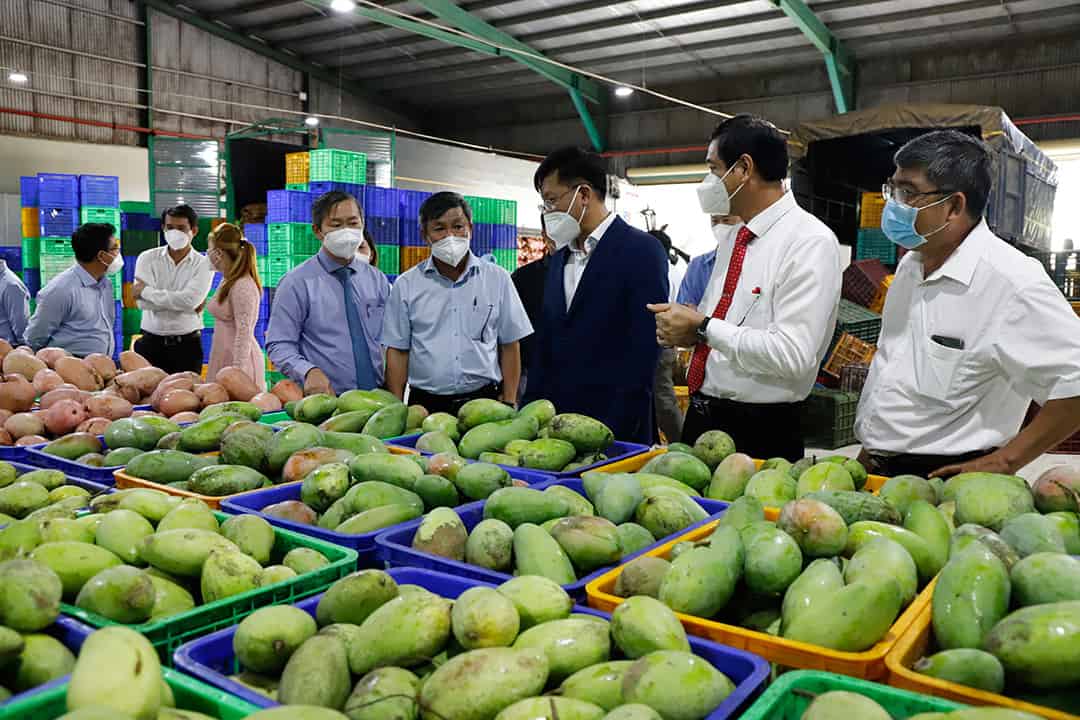 Các đại biểu thăm khu nguyên liệu bên trong nhà máy sản xuất Công ty Lương Gia