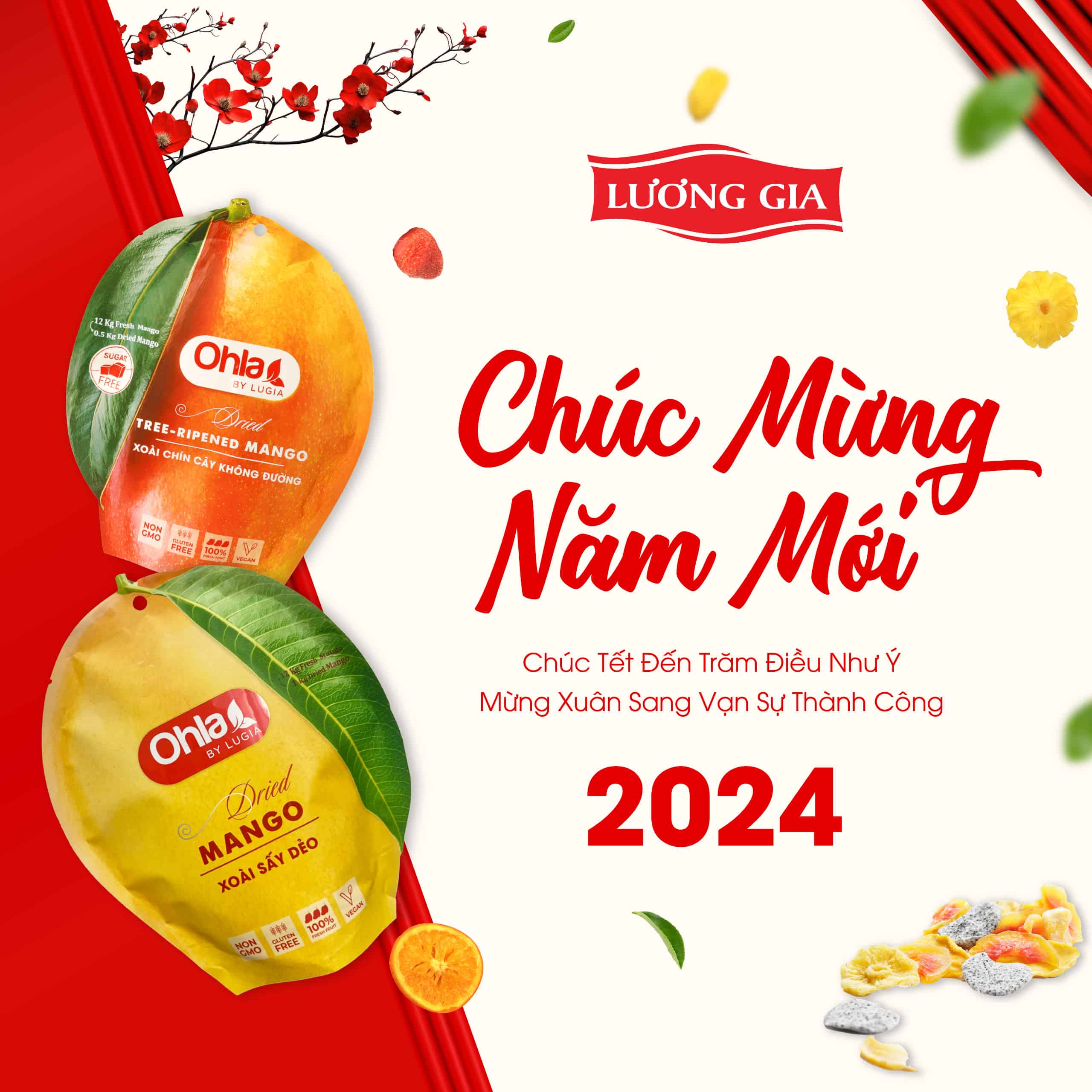 CHÚC MỪNG NĂM MỚI – GIÁP THÌN 2024