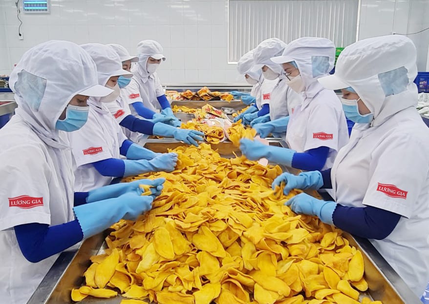 NHỘN NHỊP XUẤT KHẨU ĐẦU NĂM