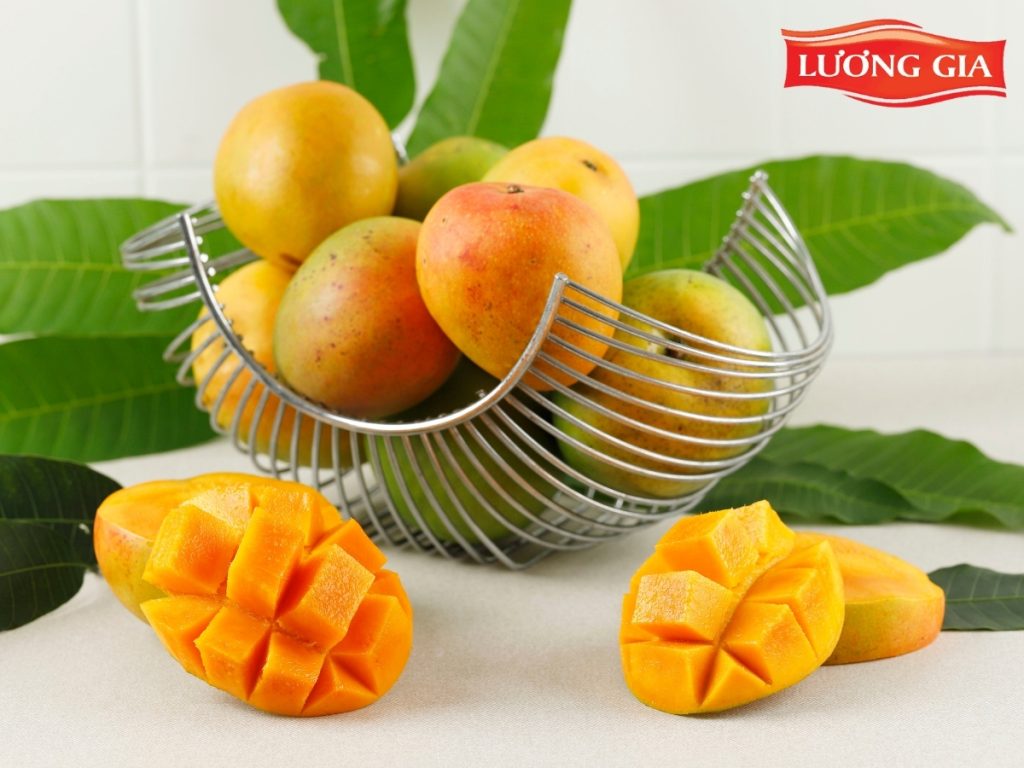 Gợi ý các loại dried mango gift packs phổ biến
