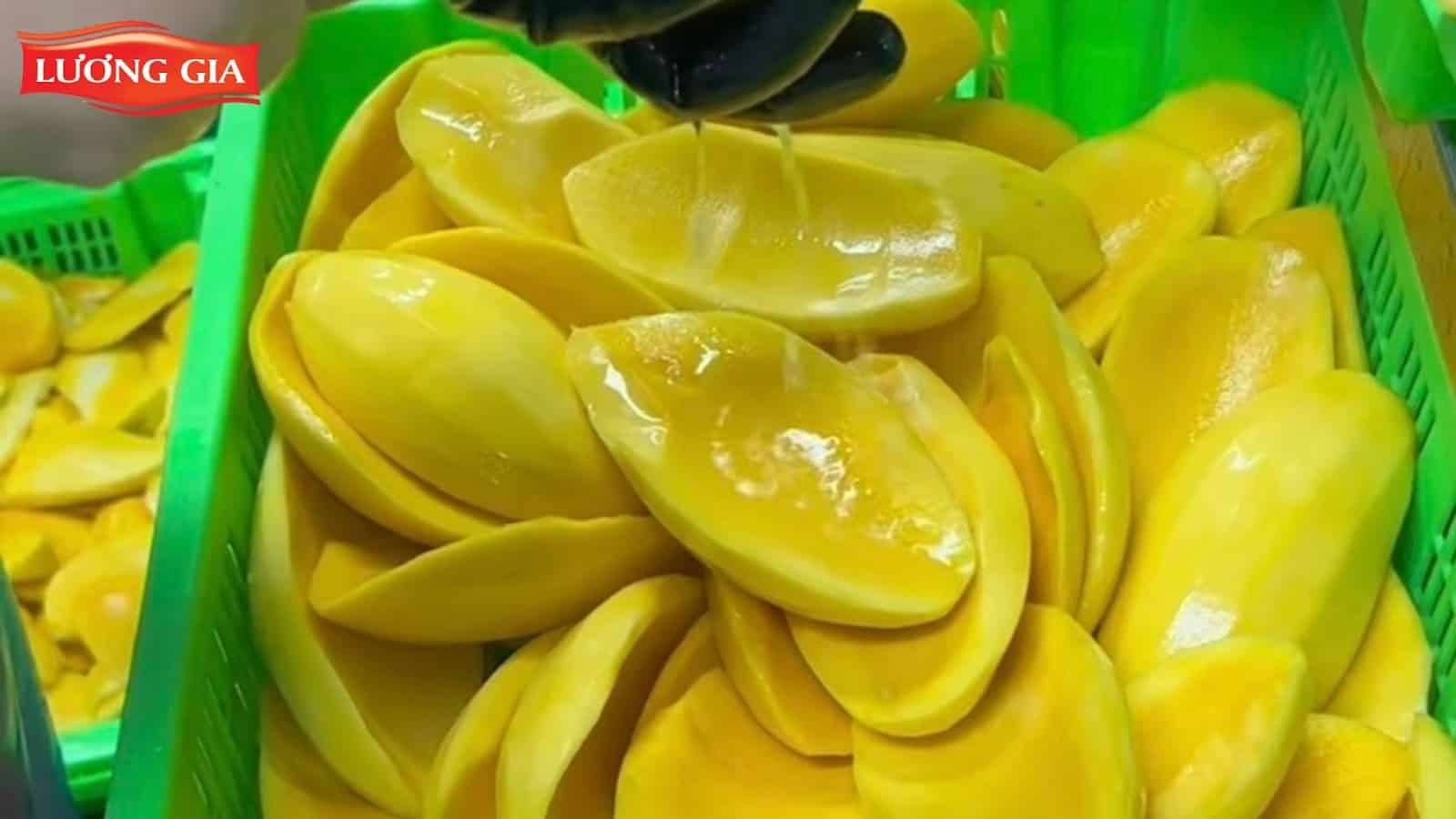Nguyên liệu được tuyển chọn từ sản phẩm chất lượng