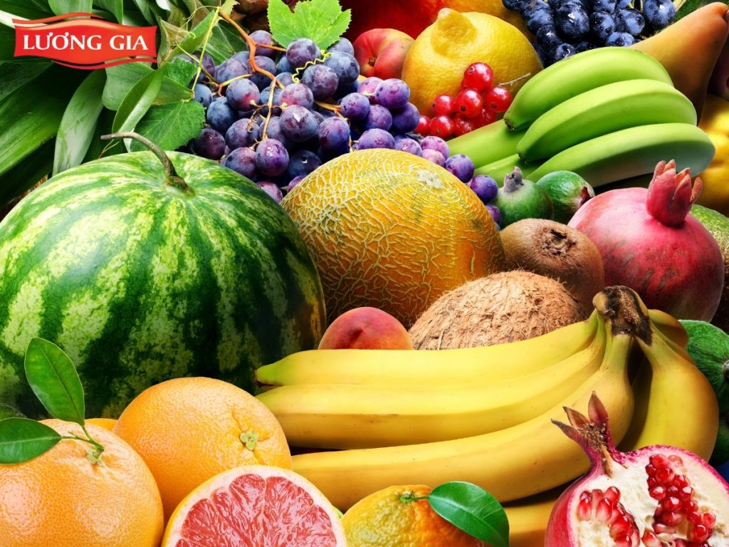 Lương Gia Company - Địa chỉ tin cậy để mua trái cây sấy dẻo chất lượng