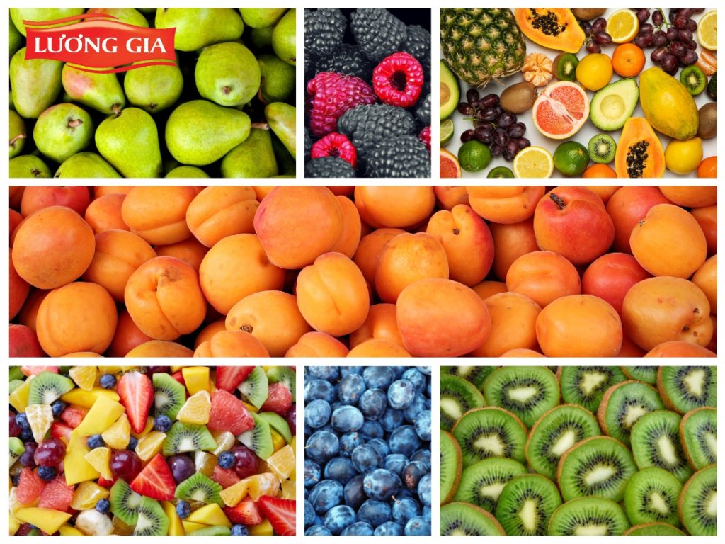 Lợi ích của việc mua trái cây sấy dẻo tại Lương Gia Company