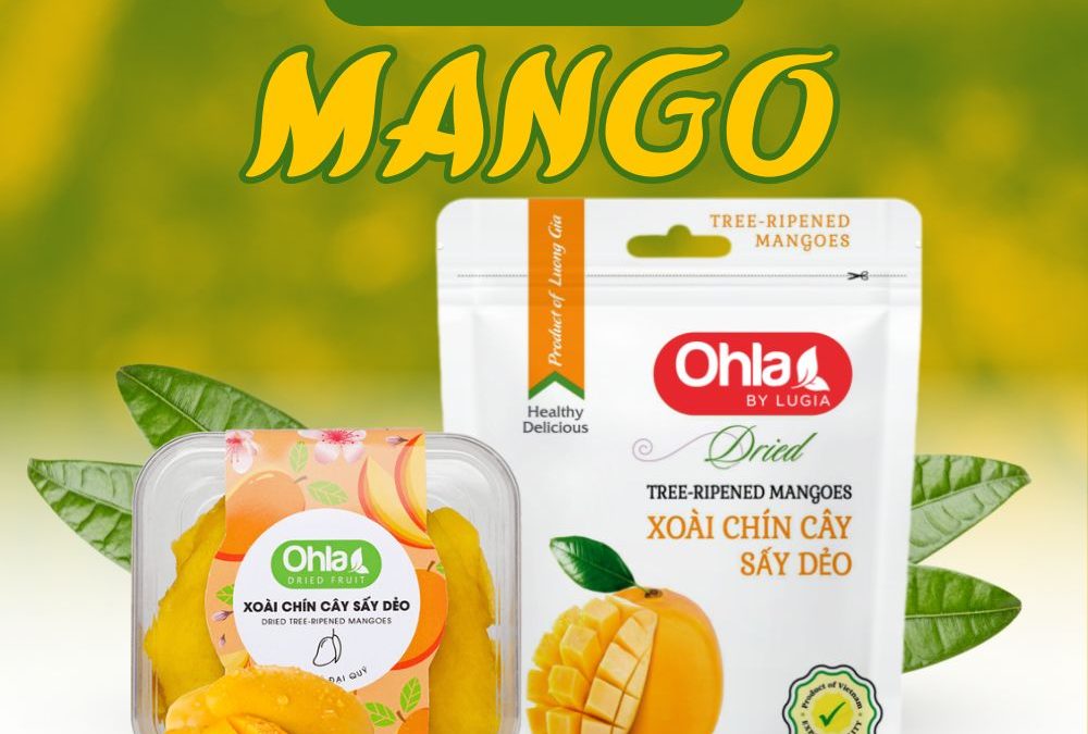 Xoài Sấy Dẻo Bán Ở Đâu Được Nhiều Người Săn Lùng Nhất Hiện Nay?