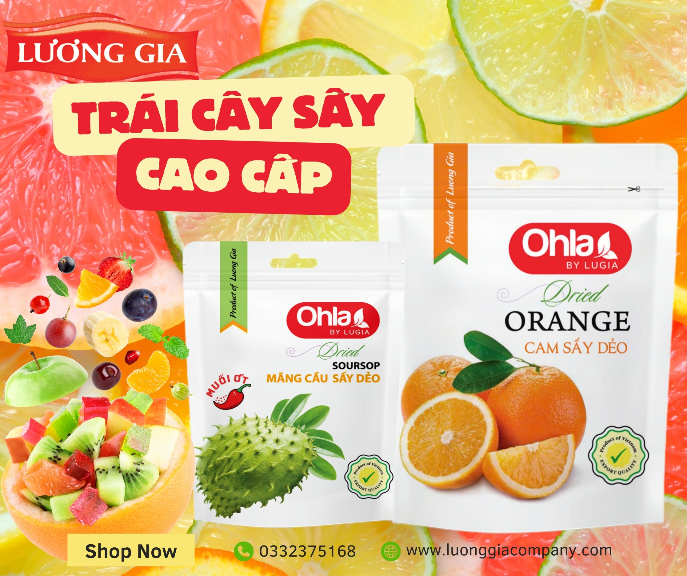 Trái cây sấy cao cấp