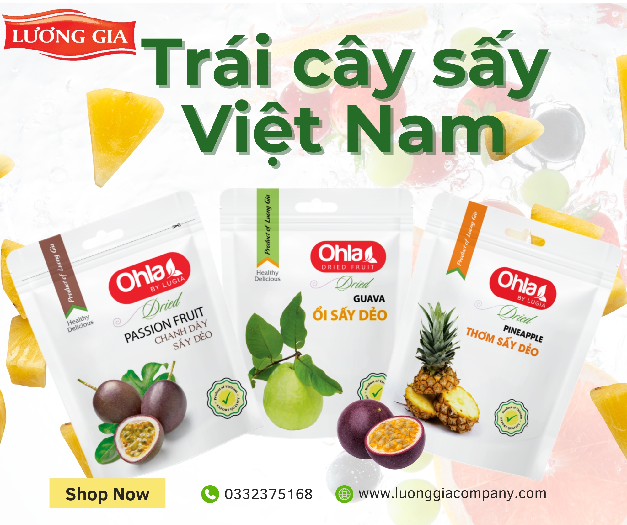 Trái cây sấy Việt Nam