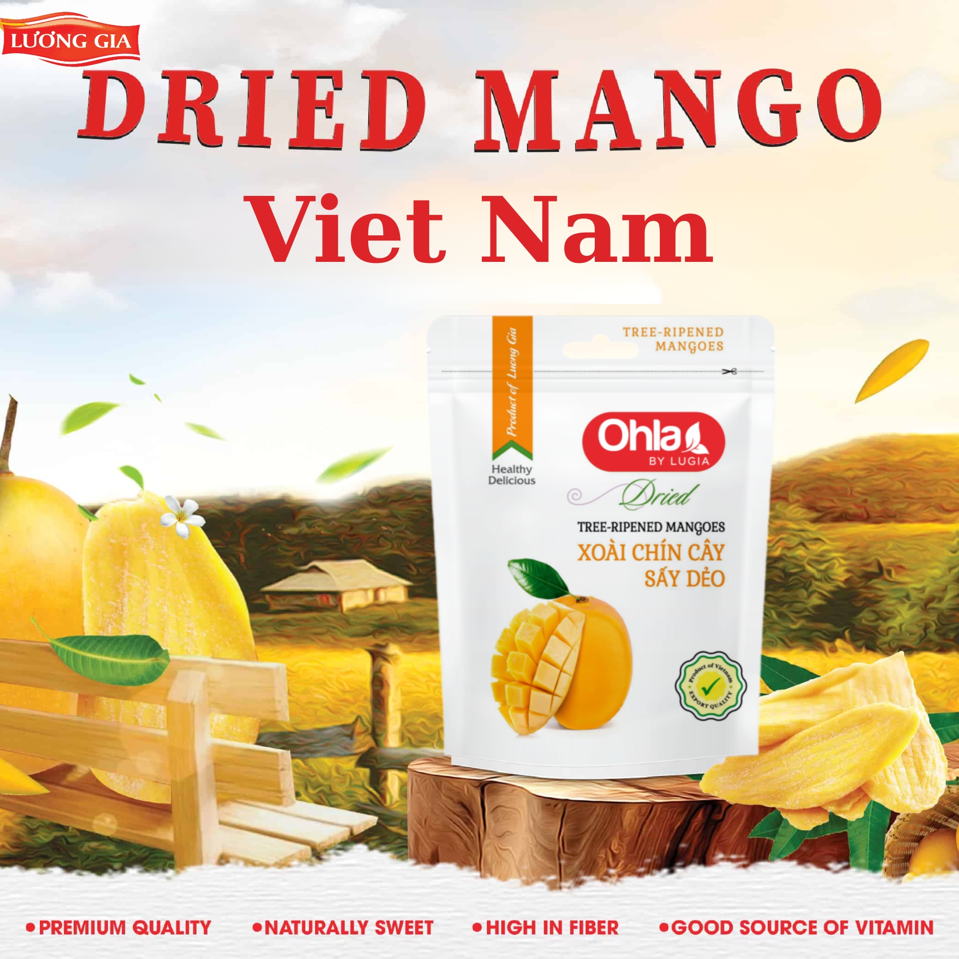 Dried Mango Vietnam