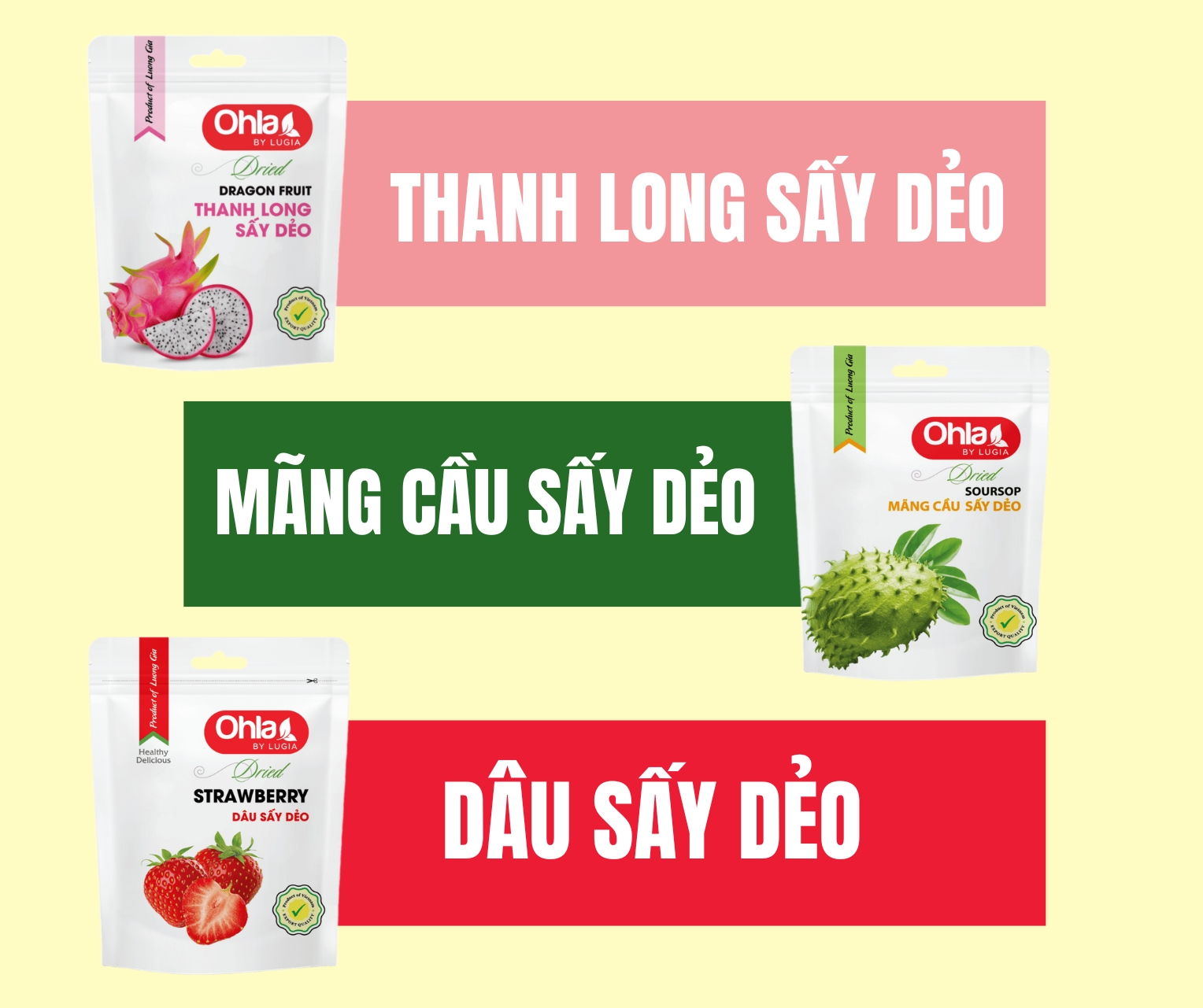 Trái cây sấy làm sữa chua – lựa chọn dinh dưỡng và tiện lợi cho cuộc sống hiện đại