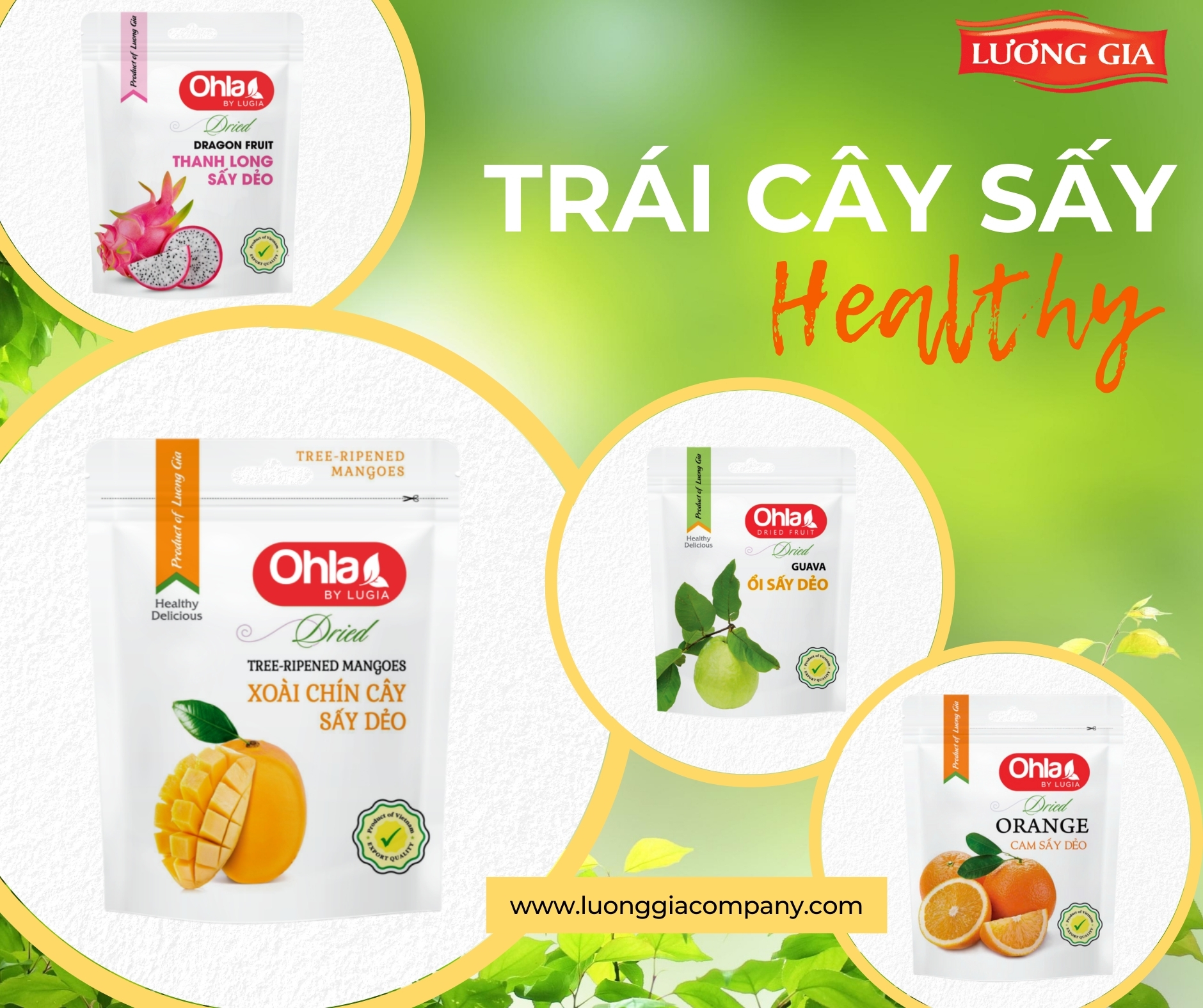 Trái cây sấy healthy