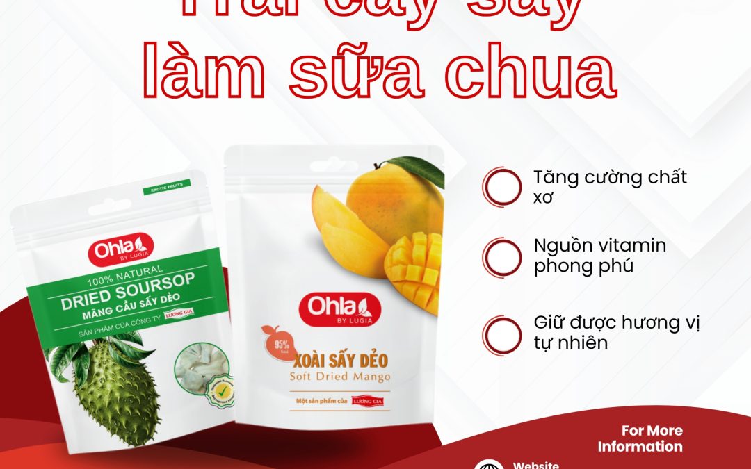 Trái cây sấy làm sữa chua – lựa chọn dinh dưỡng và tiện lợi cho cuộc sống hiện đại