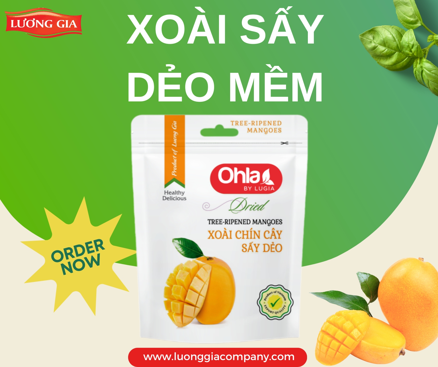 Xoài sấy dẻo mềm
