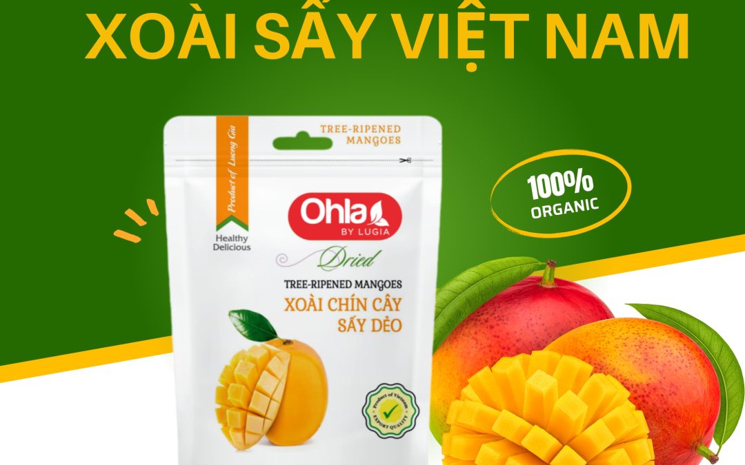Xoài sấy Việt Nam – Hương vị ngọt ngào từ thiên nhiên qua thương hiệu Lương Gia
