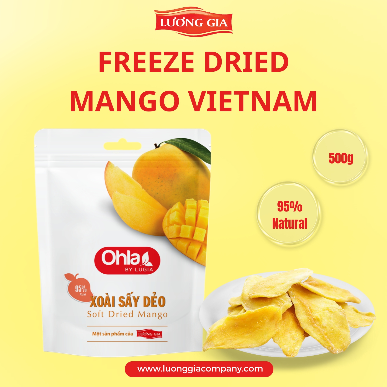 Freeze dried mango Vietnam: A premium choice from Luong Gia