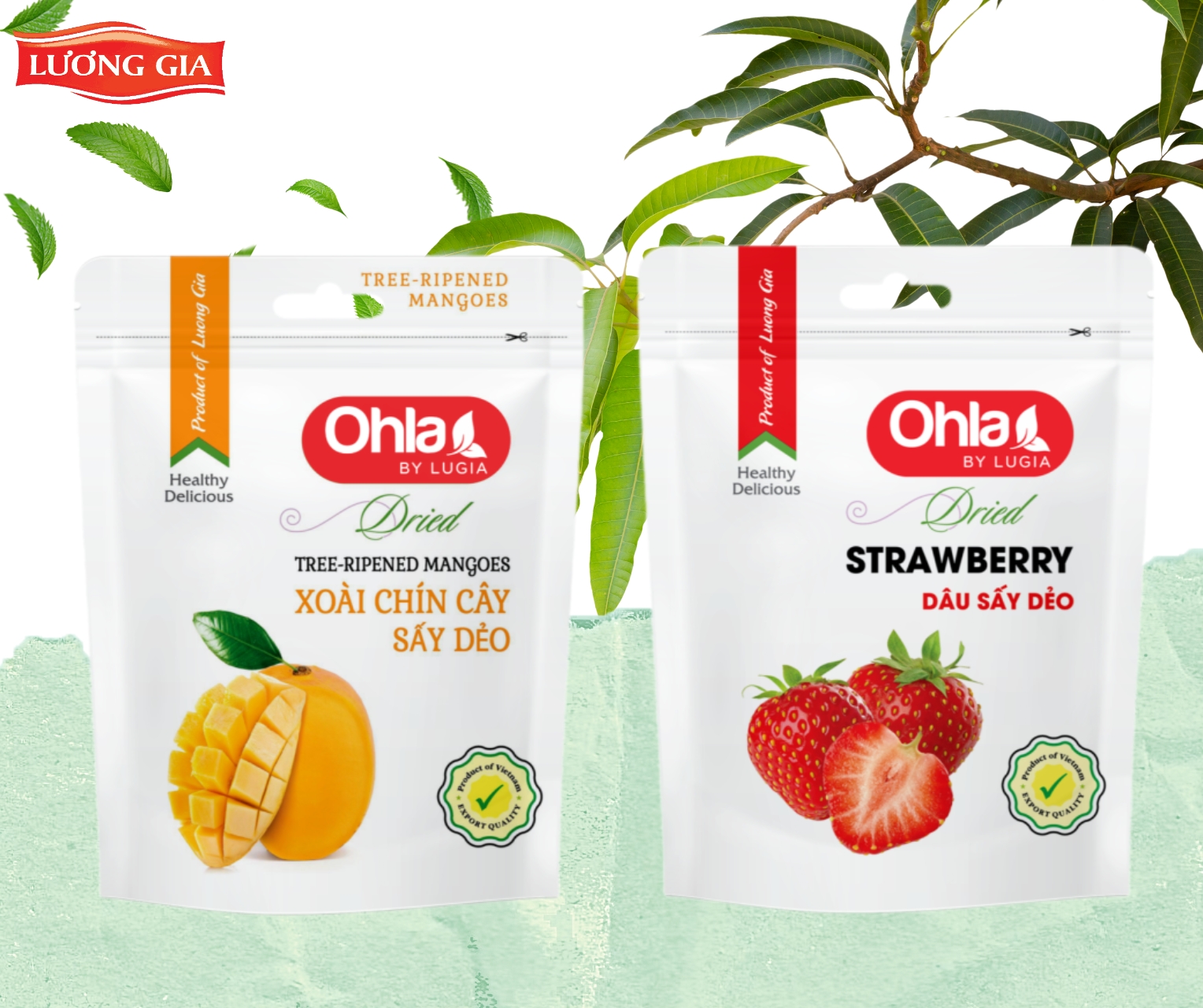 Ohla trái cây sấy dẻo – Sự lựa chọn hoàn hảo cho sức khỏe và hương vị tự nhiên