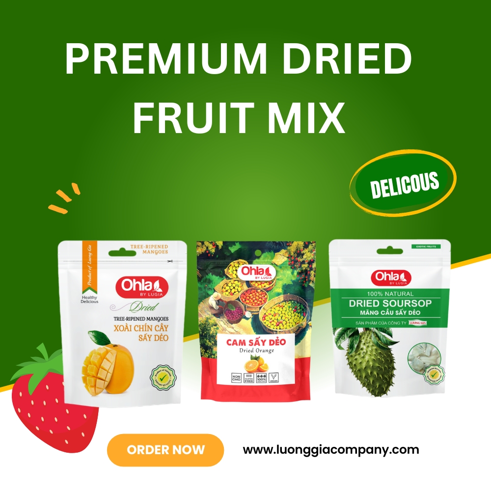 Premium Dried Fruit Mix: A Modern Taste of Vietnam’s Finest by Luong Gia